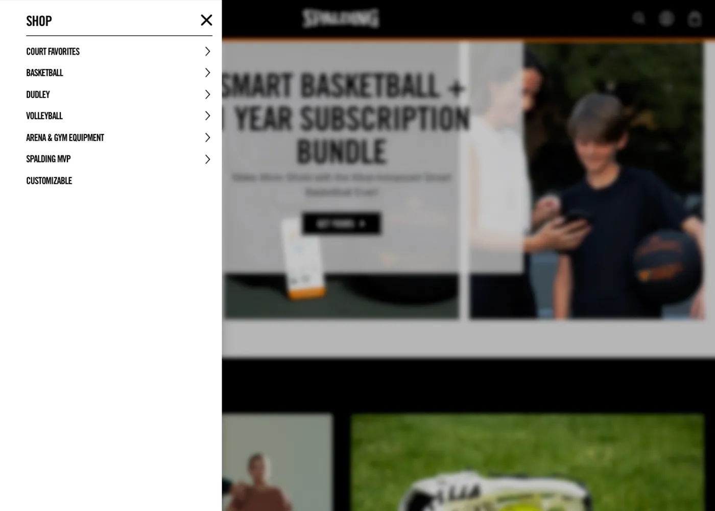 A screenshot of Spalding`s desktop site