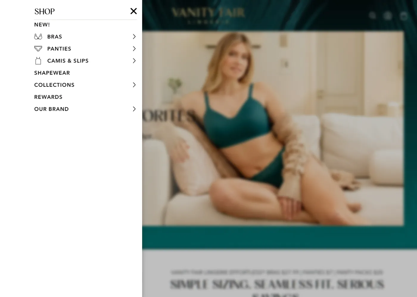 A screenshot of Vanity Fair Lingerie`s desktop site